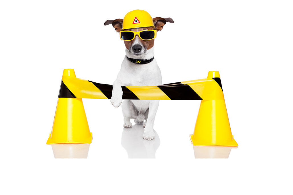 Dog in front of caution tape